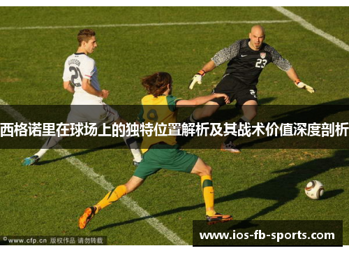 西格诺里在球场上的独特位置解析及其战术价值深度剖析